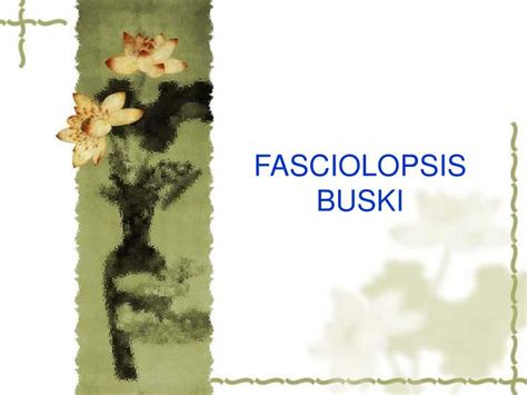 PPT - FASCIOLOPSIS BUSKI PowerPoint Presentation, free download - ID ...