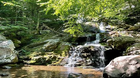 Dark Hollow Falls: Hike to Shenandoah's Most Popular Falls