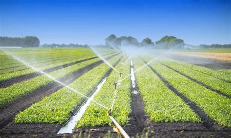 Water Consumption: Profitable Farming Methods to Reduce Water Usage by 80% & Increase Crop ...