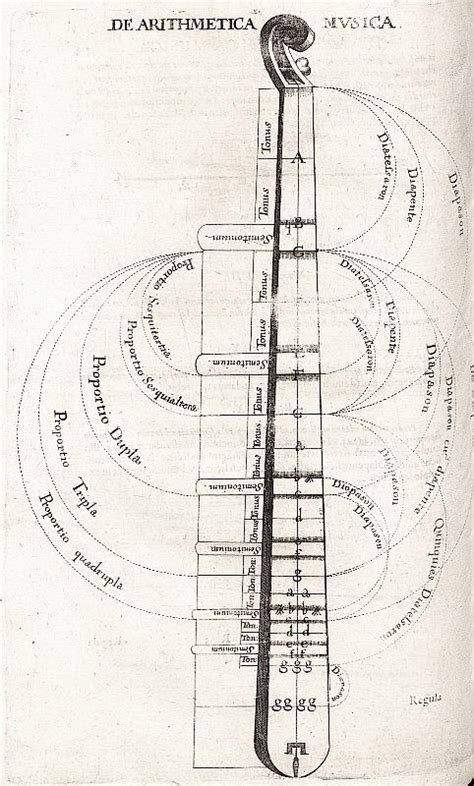 The monochord | Music theory, Music theory guitar, Theories