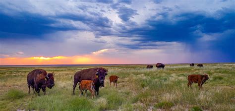 Discover the High Plains of Colorado