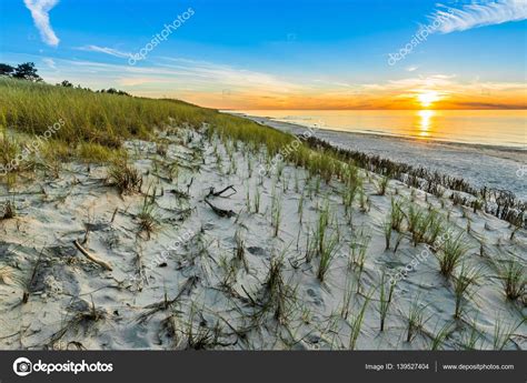 Tidal Marsh - 1600x1167 Wallpaper - teahub.io