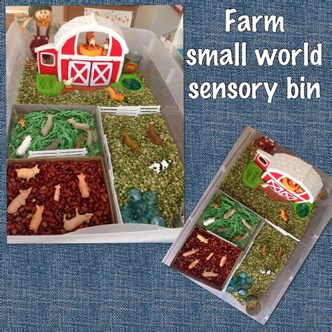 Sensory bin to go with farm theme unit. Beans for pig pen mud, shredded paper for sheep corral ...