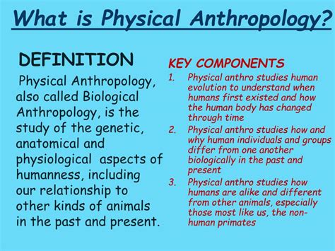 PPT - What Is Anthropology? PowerPoint Presentation, free download - ID:1989533