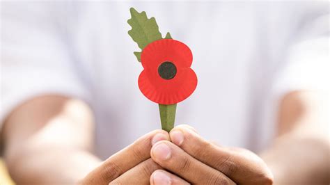 Plastic-free Remembrance poppy partly made of coffee cup waste launched ...