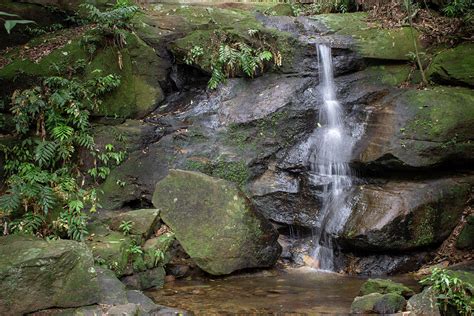 Thin waterfall at a trail located on Tijuca Forest, Rio de Janeiro Photograph by Everton Leite ...