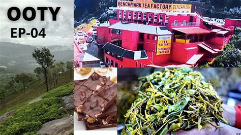 OOTY Chocolate Factory |Benchmark Tea Factory | EP - 04 #ooty #trending ...