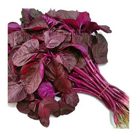 Amaranth Leaves at Rs 20/kilogram | Baldeobagh | Jabalpur | ID: 15448952730