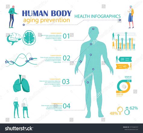 Human Body Aging Prevention Infographics Flat Cartoon Vector Illustration. Health Care, Medical ...