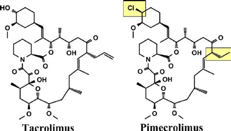 Chemical structure of pimecrolimus and tacrolimus. Differences are... | Download Scientific Diagram