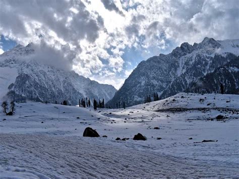 Experience Kashmir Snowfall: Winter Wonderland