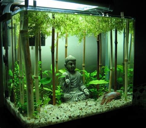 Ten of the Craziest and Most Unusual Small Fish Tanks Money Can Buy | Cool fish tanks, Fish tank ...