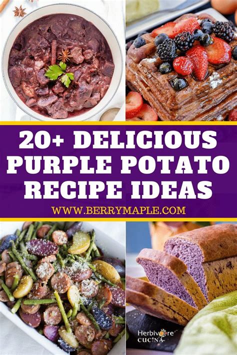 Purple potatoes recipe ideas! Here you can find how to cook roasted purple potatoes, mashed and ...