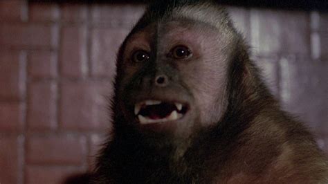 Monkey Shines (1988) | MUBI