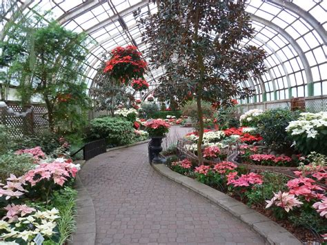 The Chicago Real Estate Local: Photos! Lincoln Park Conservatory Winter ...