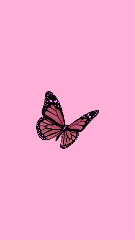 Pink Butterfly Desktop Wallpaper