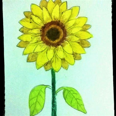 SUNFLOWER (2018) Oil Pastel on Art Paper | Oil pastel, Art, Artwork