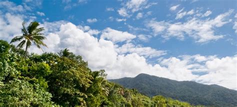 The BEST Cape Tribulation Activities 2023 - FREE Cancellation ...