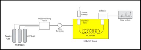 Column Gas Chromatography