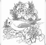 Advanced Bird Coloring Pages sketch template