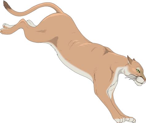 Mountain Lion Clip Art at Clker.com - vector clip art online, royalty free & public domain