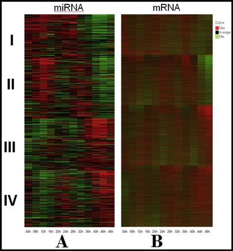 Overview of the expression profiles for A. mRNA and B. miRNA ...