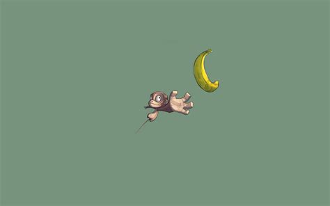 Kawaii Monkey Wallpapers - 4k, HD Kawaii Monkey Backgrounds on WallpaperBat