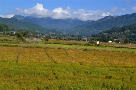 What Is The Best Time To Visit Bhutan & How to Plan Your Trip Around It