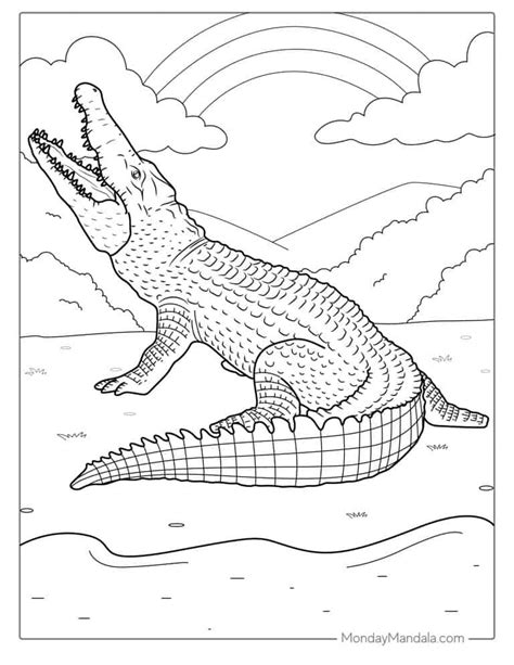 25 Crocodile Coloring Pages (Free PDF Printables)