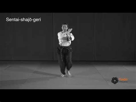 Taido Techniques - YouTube