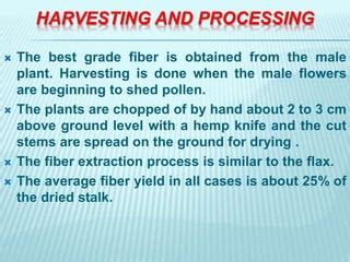 Plant fibers | PPT