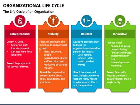 Organizational Life Cycle PowerPoint and Google Slides Template - PPT Slides