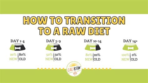 How to Transition to Raw Diet! | SWITCH TO THE BEST DOG FOOD, RAW DOG ...