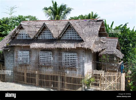 Philippine Traditional Houses