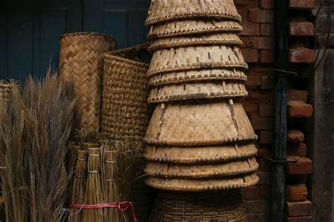 Bamboo Material 101: A Sustainable Alternative – New Eco Lifestyle