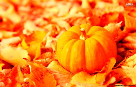 Fall Leaves And Pumpkin Wallpaper | Wallpapers Gallery