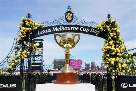 When is the Melbourne Cup? Race time, how to watch, the favourites and ...