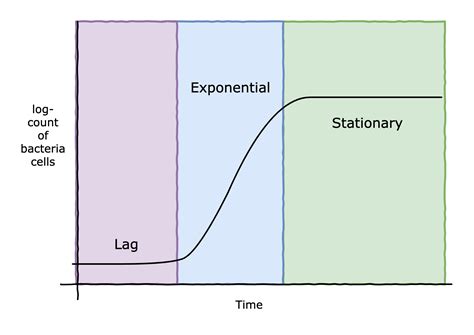 Phase Lag And Phase Lead Graphs