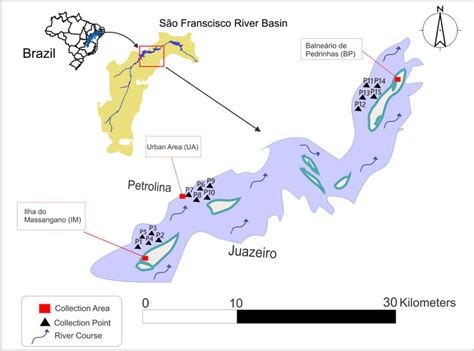 Illustrative map of sampling sites and course of the lower São... | Download Scientific Diagram