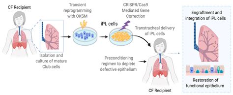 Cystic Fibrosis Treatment Options