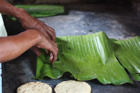 Marco & Meredith: Honduran Tamales