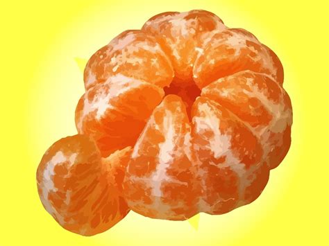 Tangerine Vector Art & Graphics | freevector.com