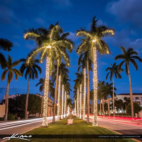 Royal-Palm-Tree-Christmas-Lights-Palm-Beach-Island by CaptainKimo on ...