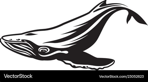 Graphic humpback whale Royalty Free Vector Image