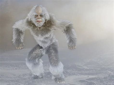 A Yeti Spirit Guide Shares His Wisdom