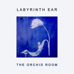 Labyrinth Ear albums and discography | Last.fm