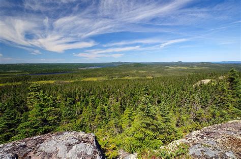 National Parks Of Newfoundland and Labrador - WorldAtlas