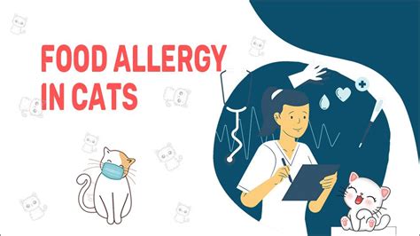 Food Allergies In Cats: Causes & Treatments - Petmoo