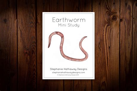 Earthworms Nature Study — Stephanie Hathaway Designs