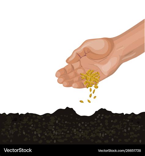 Hand sowing seeds Royalty Free Vector Image - VectorStock